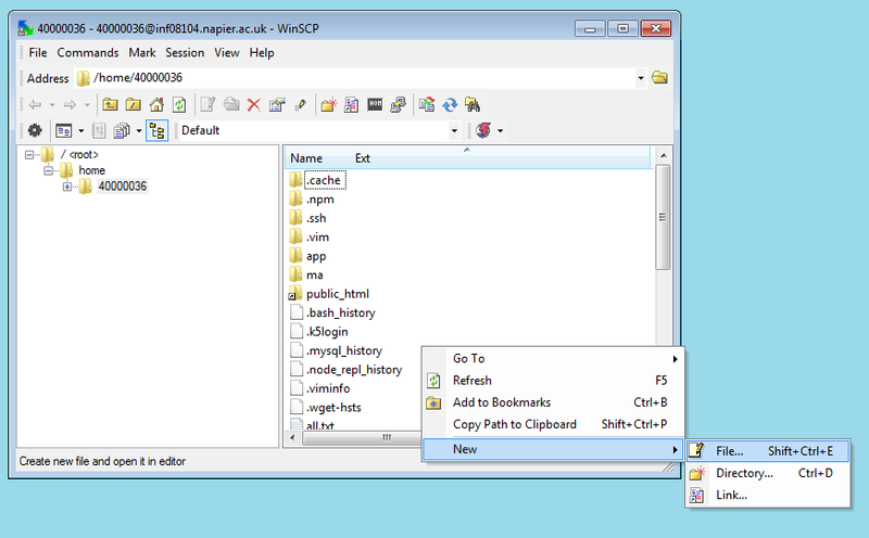 File:Winscp4.png